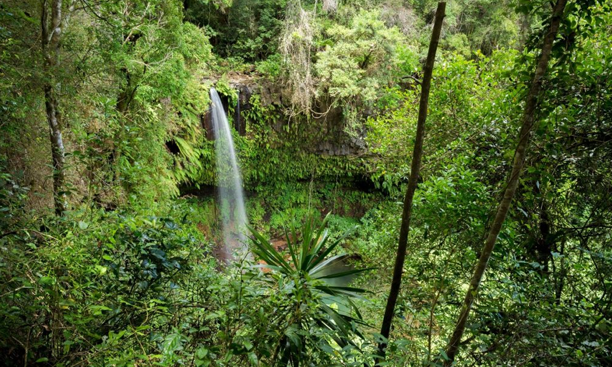 Thanks, Image Source: https://travel2madagascar.com/top-5-national-parks-madagascar/