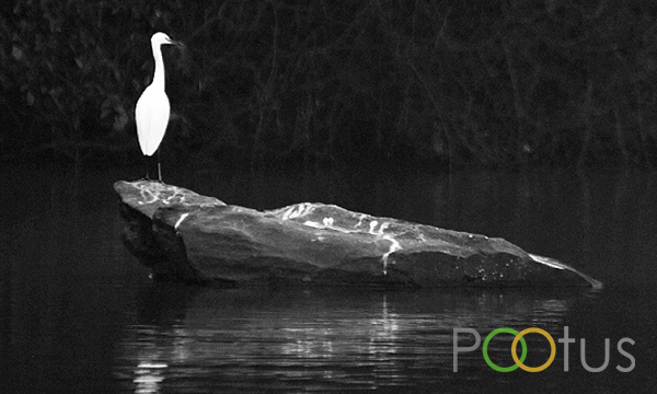 Ranganathittu Bird Sanctuary, Karnataka, India
