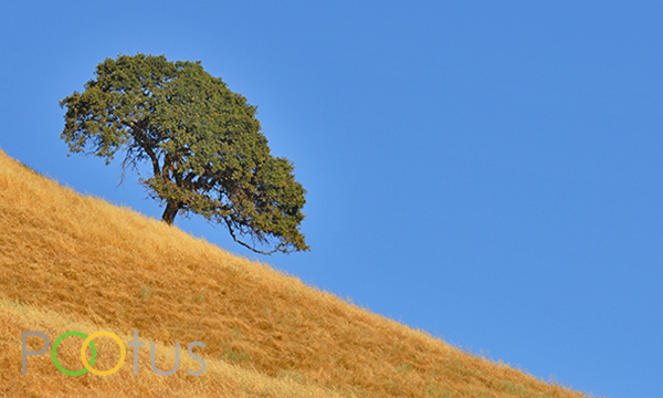 Balance. Sunol, California, USA 
