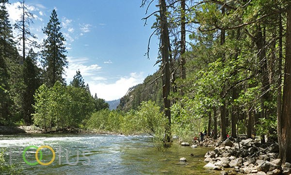 Clean river beach at Yosemite Valley, California, USA