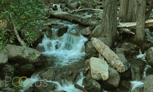 An unknown water stream at Yosemite Valley, California, USA