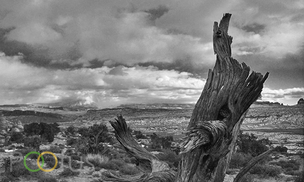Arches National Park. Moab, Utah, USA.