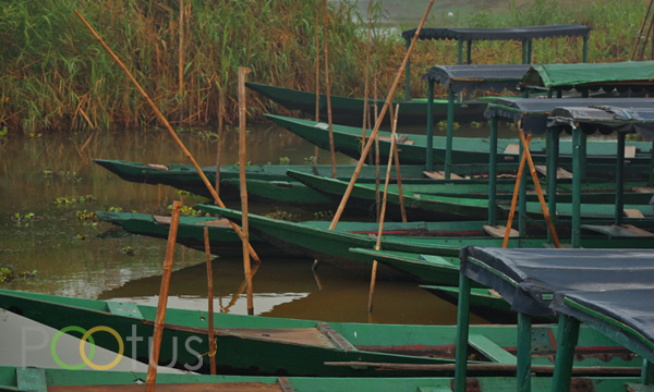 Transportation on Chilika Lake, Mangalajodi, India