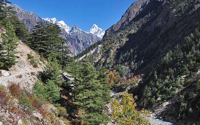 Exploring Himalayas
