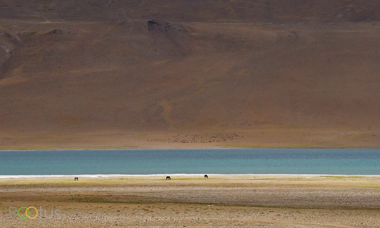 Kyagar Tso, a fantasy lake on extreme himalayan 