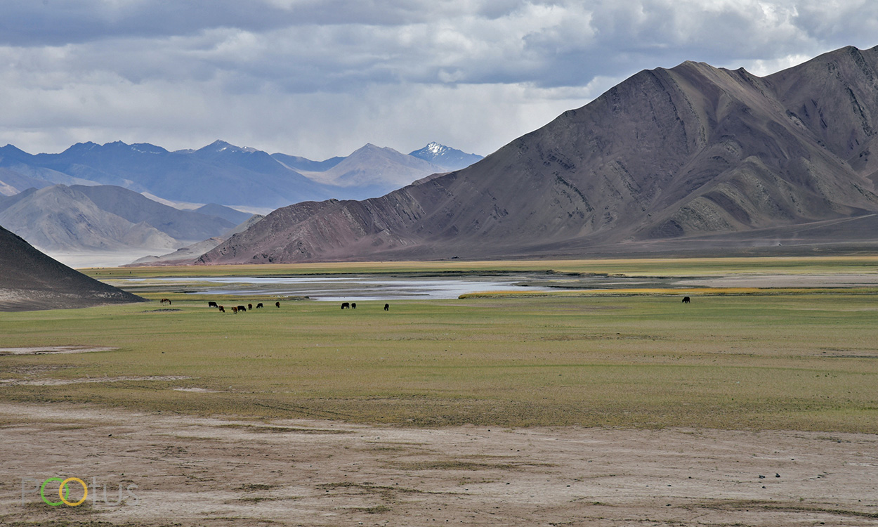 The himalayan landscape 